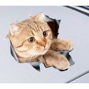 Nálepka na auto - mačka